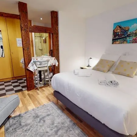 Studio A Louer Au Coeur De Appartement Strasbourg